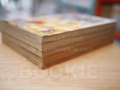 สังเวียนแห่งศักดิ์ศรี 5 เล่มจบ รูปที่ 4