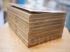 ฟูกะตระกูลนี้ไม่มีถอย 10 เล่มจบ รูปที่ 5