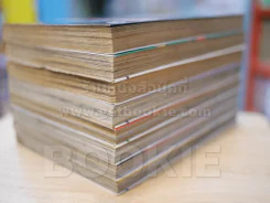 ข้าชื่อโคทาโร่ ภาค L เล่ม 1-8 รูปที่ 5