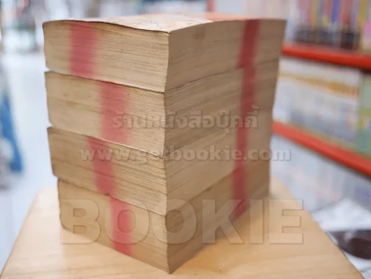 ฤทธิ์หมัดไร้เทียมทาน 4 เล่มจบ รูปที่ 4