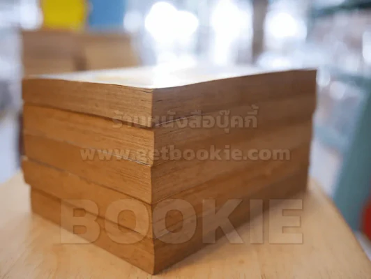 ฝากฝัน สู่กาลนิรันดร์ 5 เล่มจบ รูปที่ 4
