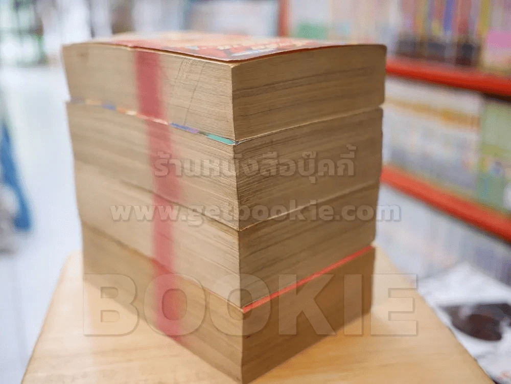 ฤทธิ์หมัดไร้เทียมทาน 4 เล่มจบ รูปที่ 5