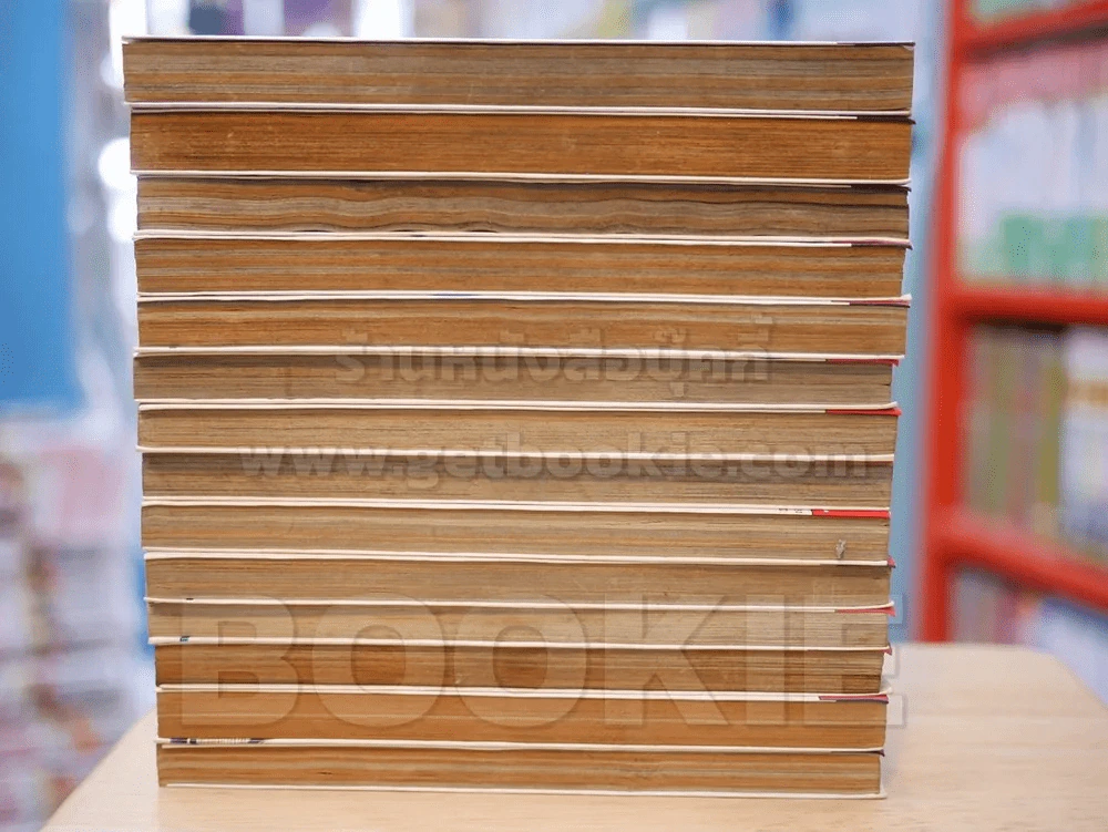 บ้านพักอลเวง 14 เล่มจบ (เล่ม 12 สภาพบวมน้ำ) รูปที่ 3