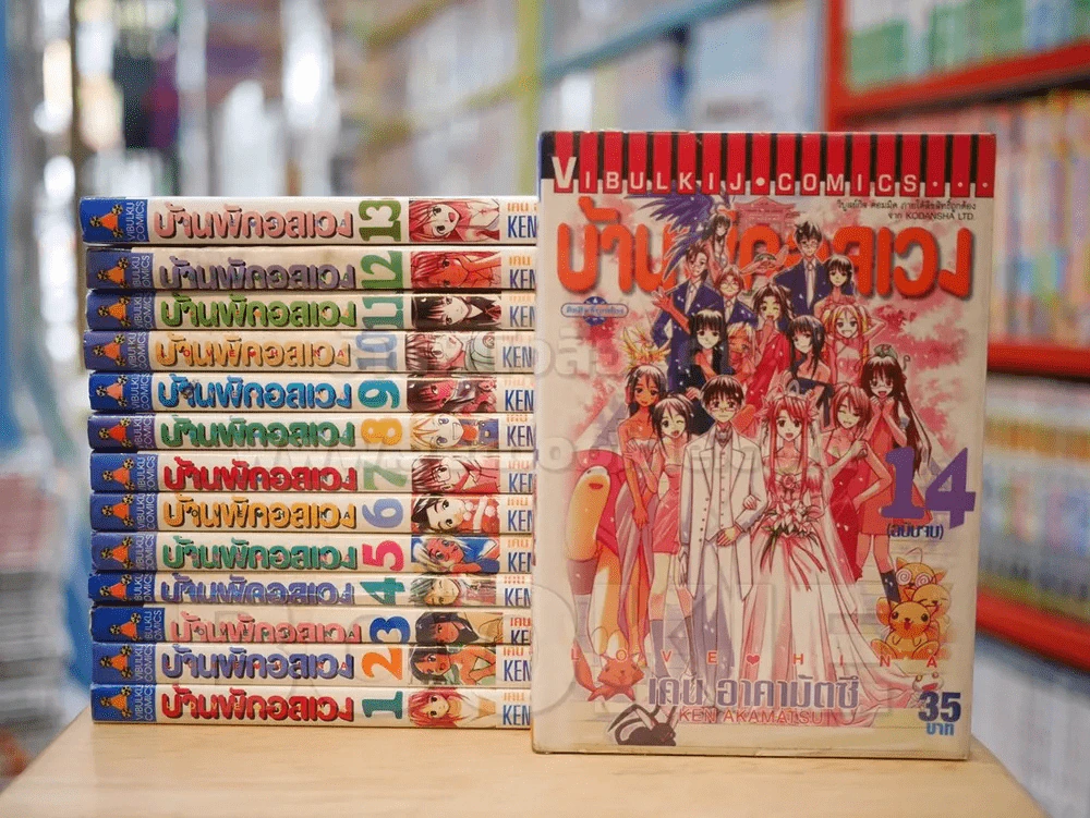 บ้านพักอลเวง 14 เล่มจบ (เล่ม 12 สภาพบวมน้ำ) รูปที่ 1