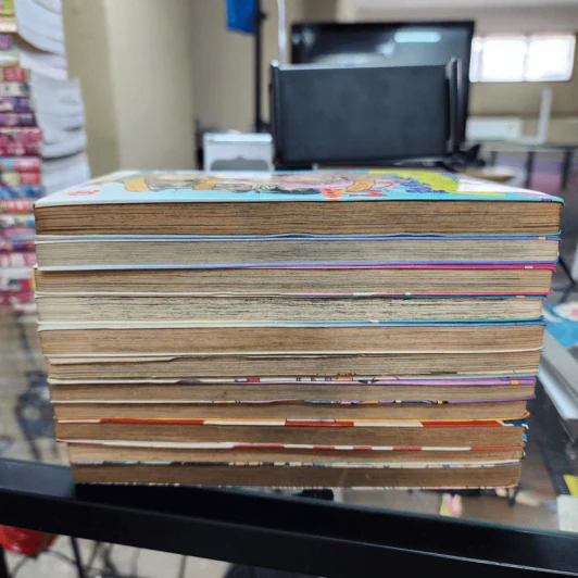 บะหมี่สาวจ้าวนักสู้ 11 เล่มจบ รูปที่ 8