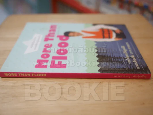 More Than Flood รูปที่ 2