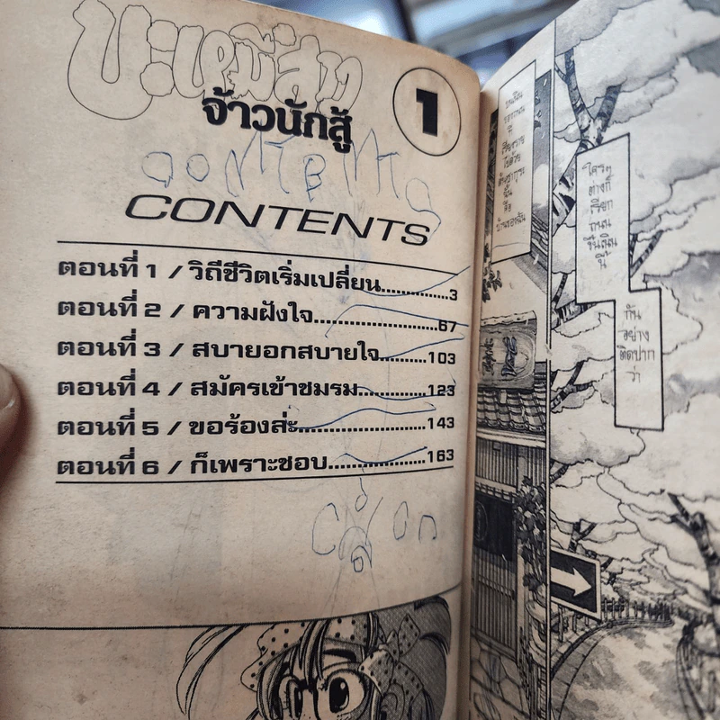 บะหมี่สาวจ้าวนักสู้ 11 เล่มจบ รูปที่ 12