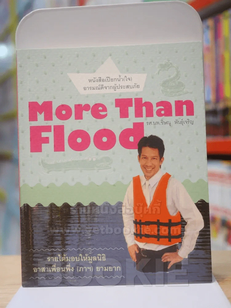 More Than Flood รูปที่ 1
