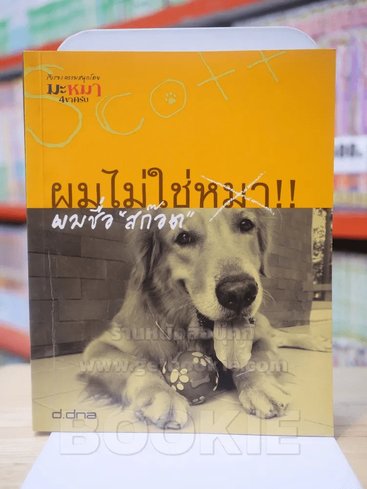 ผมไม่ใช่หมา!! ผมชื่อ สก๊อต รูปที่ 1