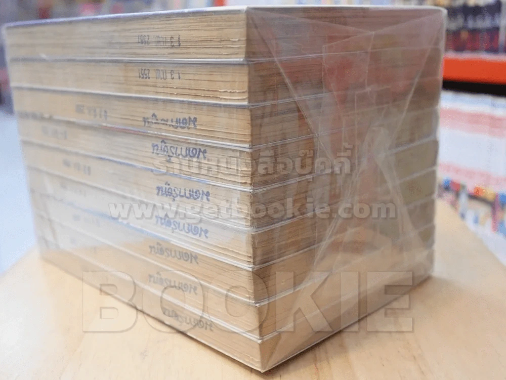 ยาคุชิจิ เรียวโกะ พยัคฆ์สาวคดีพิศวง 11 เล่มจบ (ขาดเล่ม 10,11) รูปที่ 5