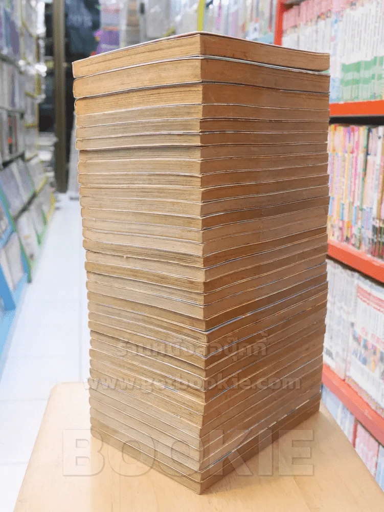 สาวแกร่งแรงเกินร้อย 36 เล่มจบ (ขาดเล่ม 17/28/33) รูปที่ 4