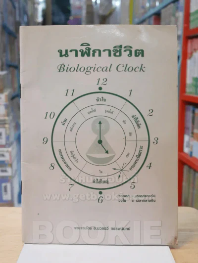 นาฬิกาชีวิต รูปที่ 1