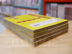 โทยูกิ ตะลุยแดนตะวันออก 4 เล่มจบ รูปที่ 5