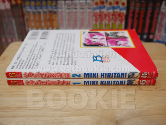 วุ่นรักเจ้าหญิง x เจ้าชาย 2 เล่มจบ รูปที่ 2