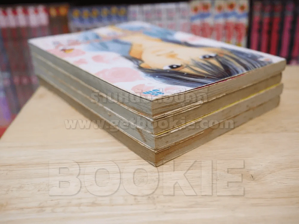 LOVESTORY PORTION เล่ม 1-4 รูปที่ 5