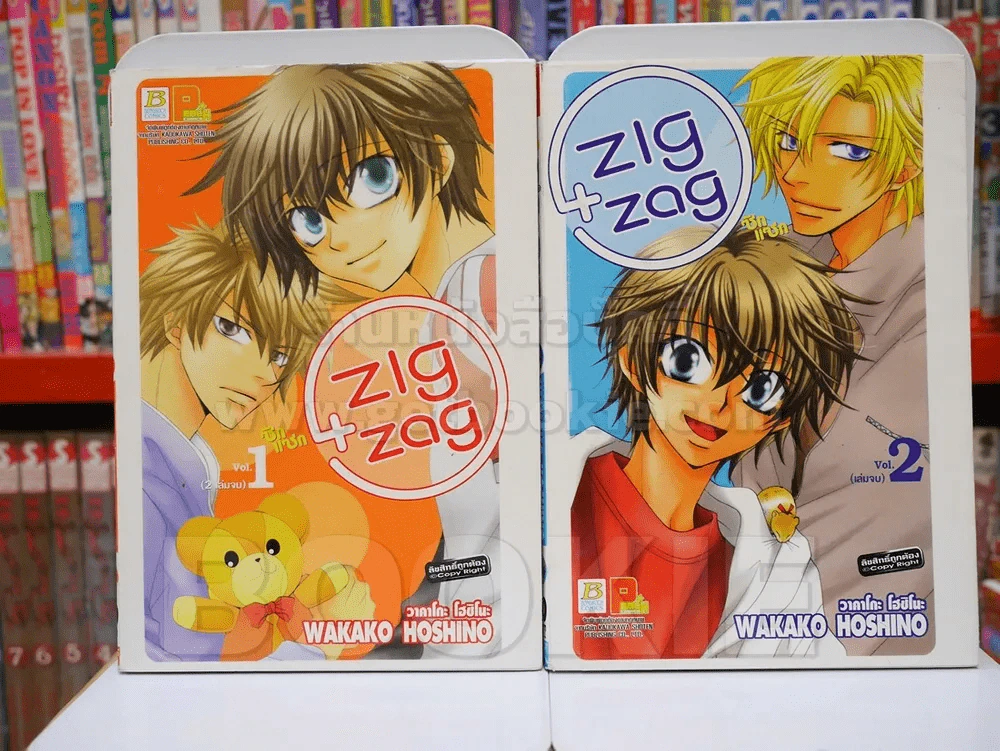 ZIG+ZAG ซิกแซก 2 เล่มจบ รูปที่ 1