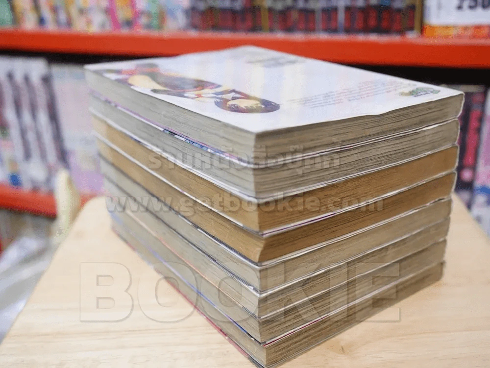 ฤทธิ์ปืนมนตรา เทพธิดาทมิฬ เล่ม 1-8 รูปที่ 5