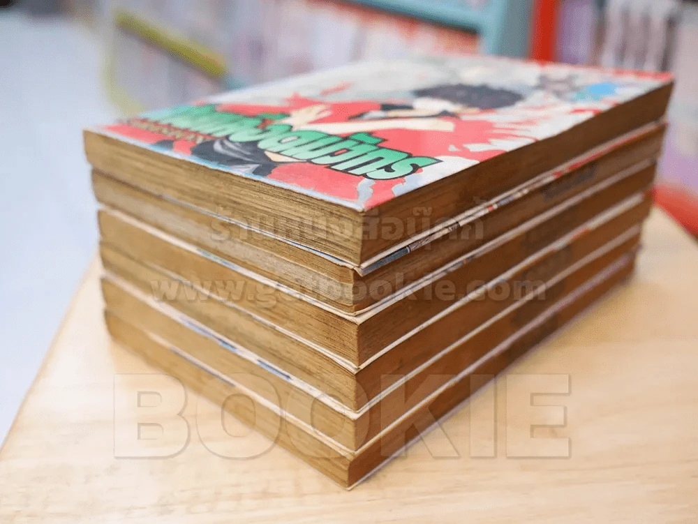 สายเลือดมังกร SARISION 6 เล่มจบ รูปที่ 4