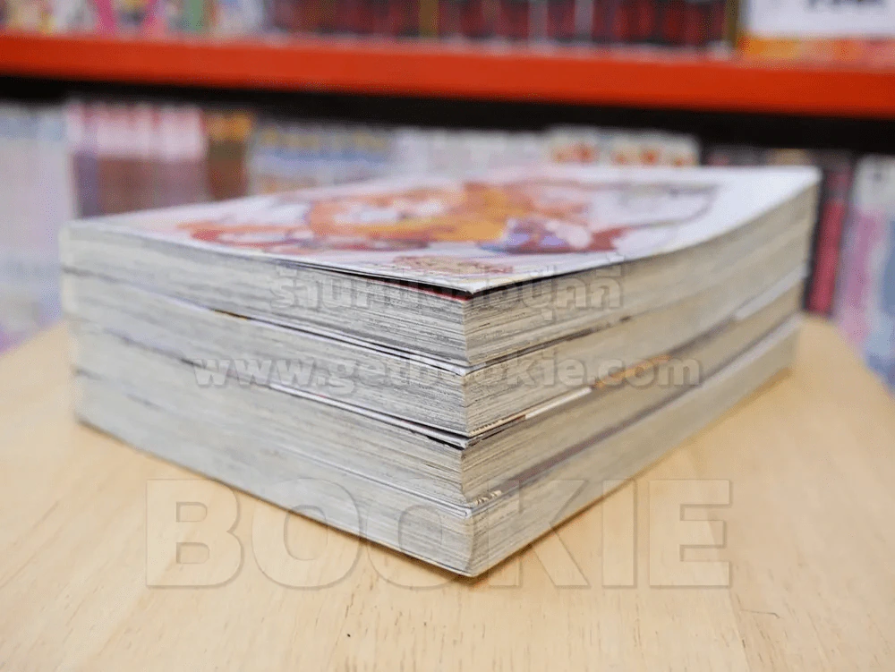 APAIMANEE SAGA THE TALES OF TWO BROTHERS เล่ม 1-4 รูปที่ 4
