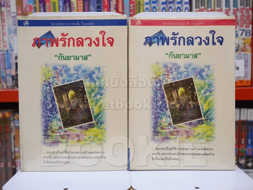 ภาพรักลวงใจ 2 เล่มจบ - กันยามาส รูปที่ 1
