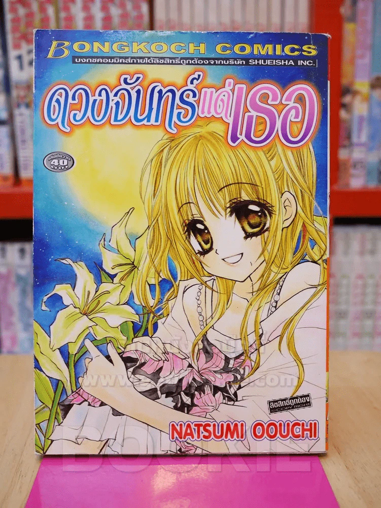 ดวงจันทร์แด่เธอ รูปที่ 1
