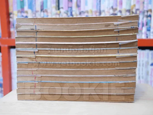 อมาริรีสโจรสาวเจ้าเสน่ห์  14 เล่มจบ (ขาดเล่ม 14) รูปที่ 3