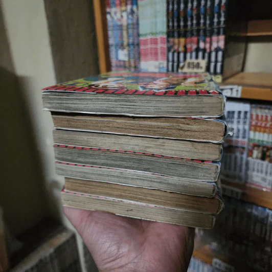 คู่หูสืบสะเด็ด 7 เล่มจบ รูปที่ 9