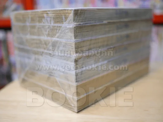 นางนวล สยายปีก เล่ม 1-7 รูปที่ 4