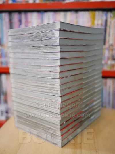 Vampire Knight 19 เล่มจบ + Fanbook รูปที่ 4