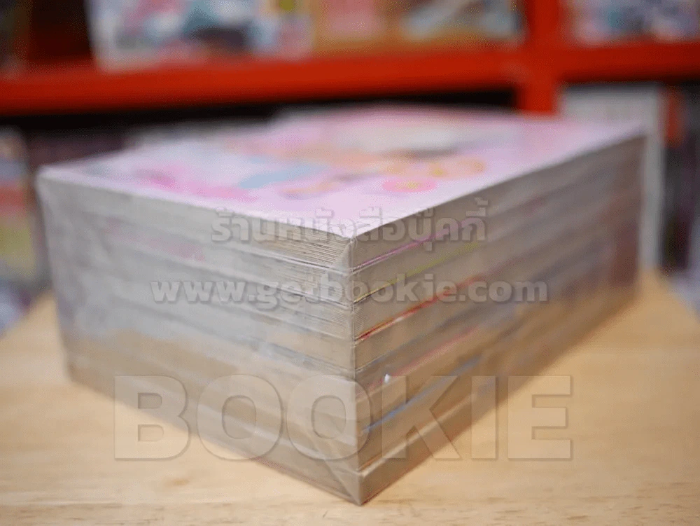 รักนี้ที่เฝ้ารอ 8 เล่มจบ รูปที่ 4