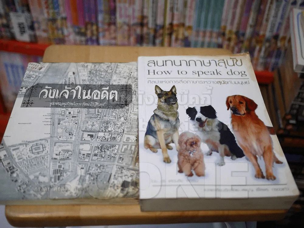 ขายเหมา พ็อคเก็ตบุ๊ค 28 เล่ม สันไม่สวยตามรูป อ่านได้ปกติ เนื้อหาครบ ไม่มีหน้าขาดหาย รูปที่ 9