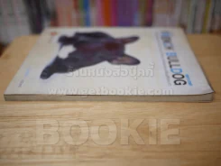 FRENCH BULLDOG เฟรนซ์ บลูด็อก รูปที่ 3