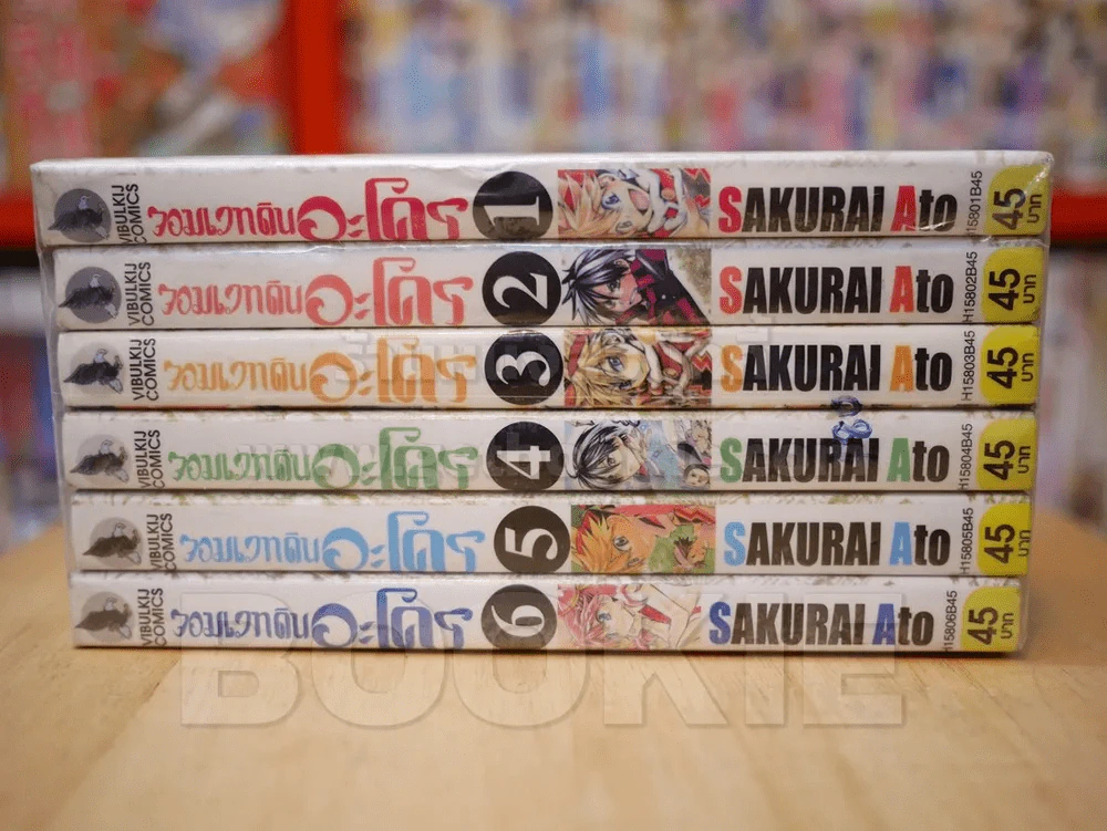 จอมเวทดิน อะโคร เล่ม 1-6 รูปที่ 2