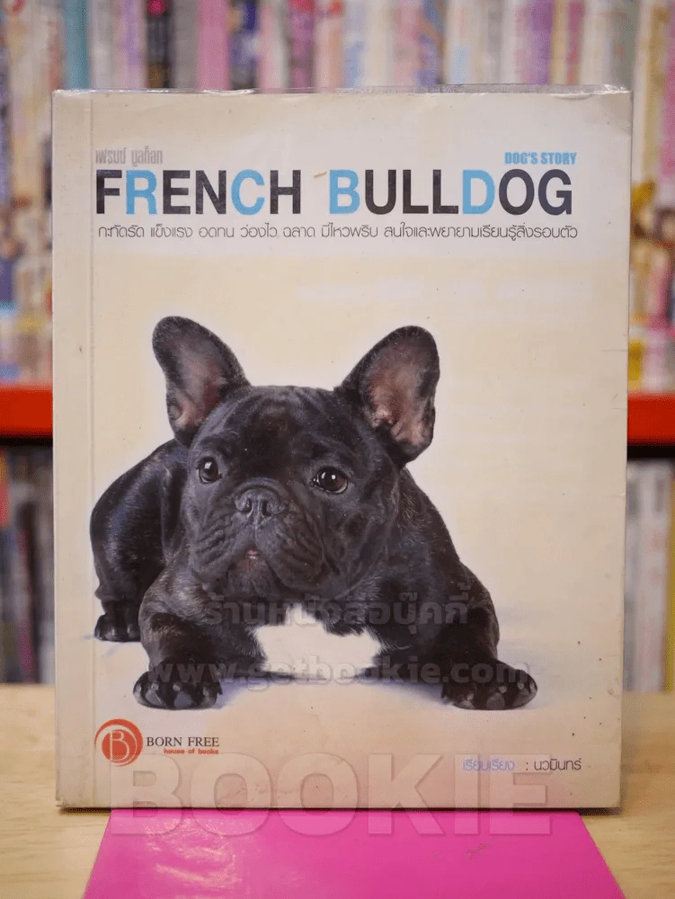 FRENCH BULLDOG เฟรนซ์ บลูด็อก รูปที่ 1