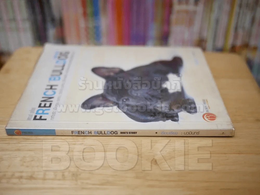 FRENCH BULLDOG เฟรนซ์ บลูด็อก รูปที่ 2