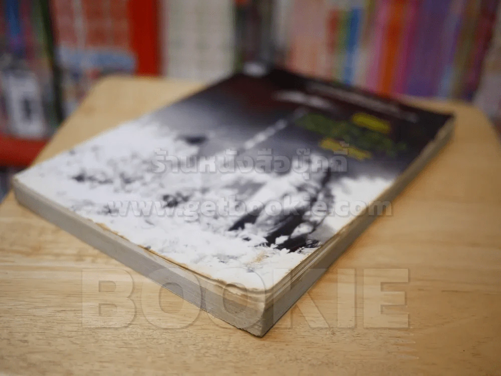 เชียงใหม่(ใหม่)เชียงใหม่(เก่า) อดีตมีคุณค่า ปัจจุบันมีราคา รูปที่ 5