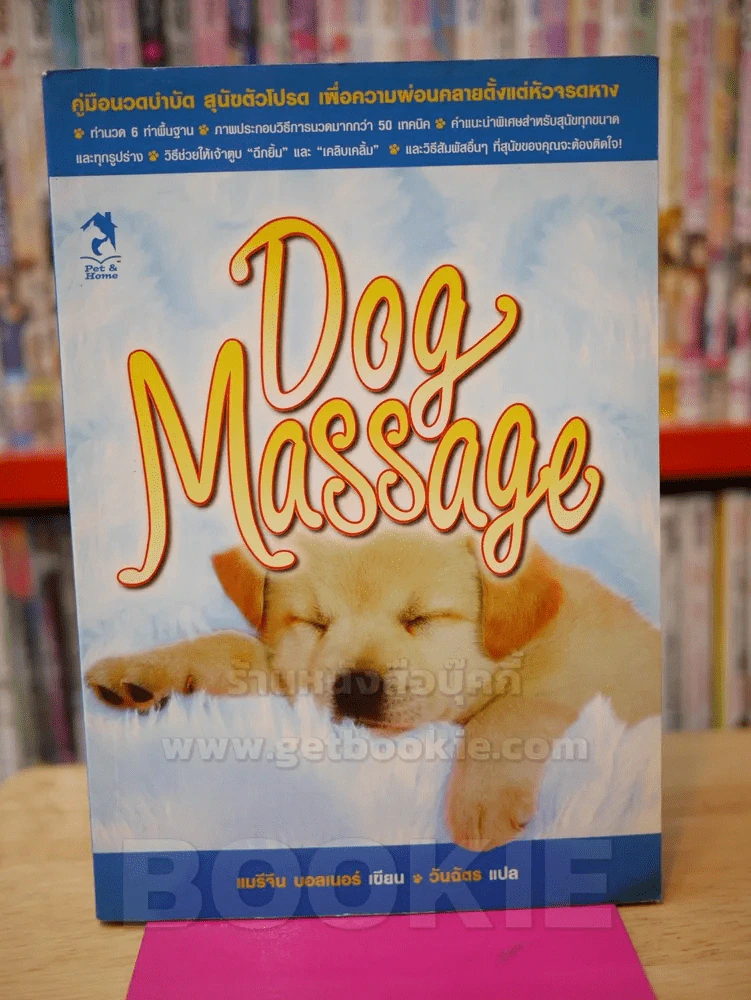 DOG MASSAGE นวดบำบัด สุนัขตัวโปรด รูปที่ 1