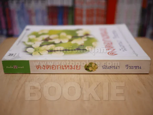 ดงดอกเหมย - นันทนา วีระชน รูปที่ 2