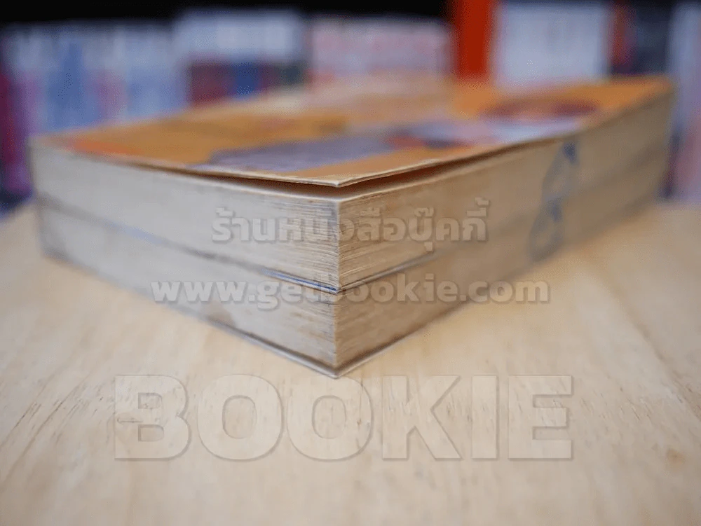 ตุ๊กตาเริงระบำ 2 เล่มจบ - โสภี พรรณราย (ปกอ่อน) รูปที่ 4