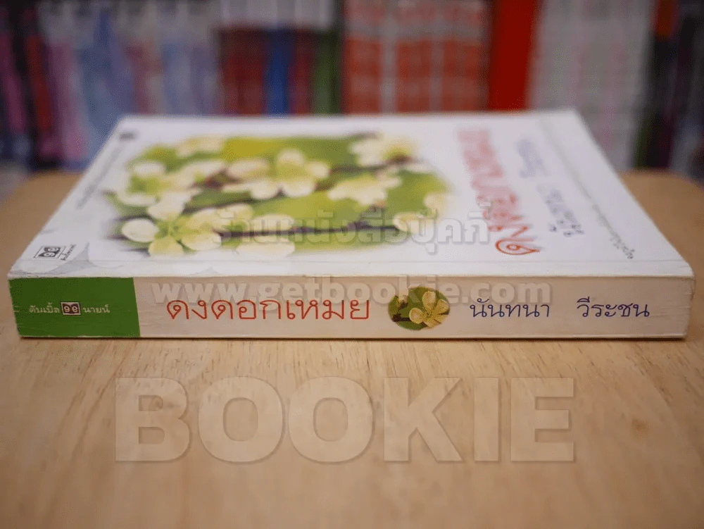 ดงดอกเหมย - นันทนา วีระชน รูปที่ 2