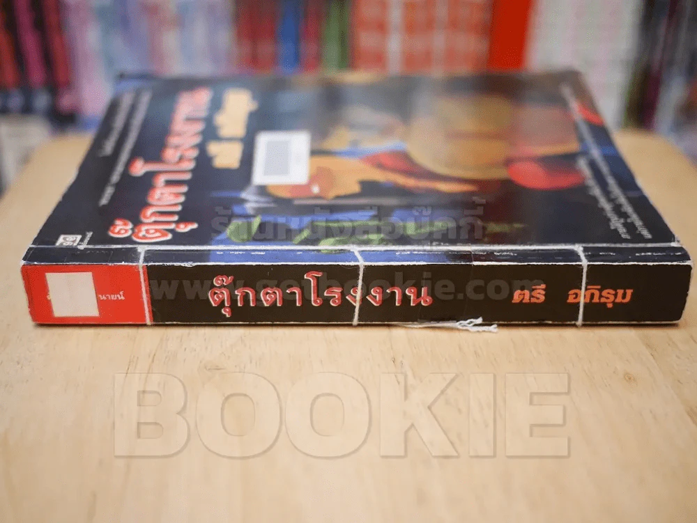 ตุ๊กตาโรงงาน - ตรี อภิรุม รูปที่ 2