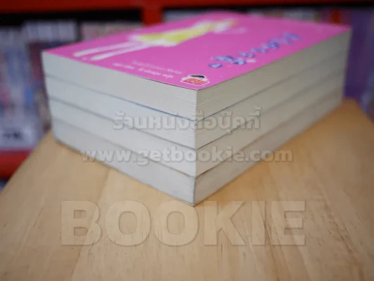 ข้ามขอบฟ้ามาหาหัวใจ 4 เล่มจบ รูปที่ 4