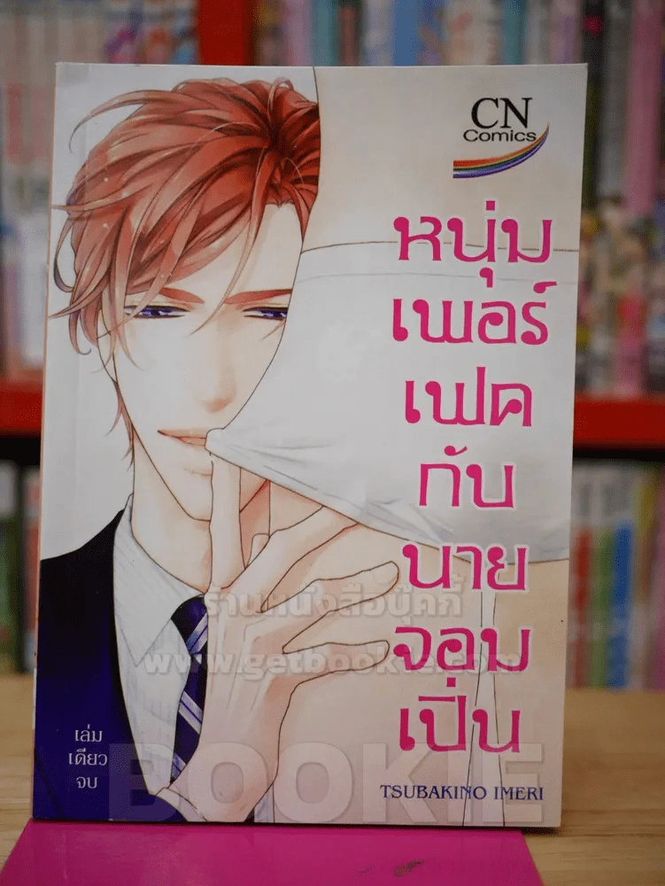 หนุ่มเฟอร์เฟคกับนายจอมเปิ่น รูปที่ 1