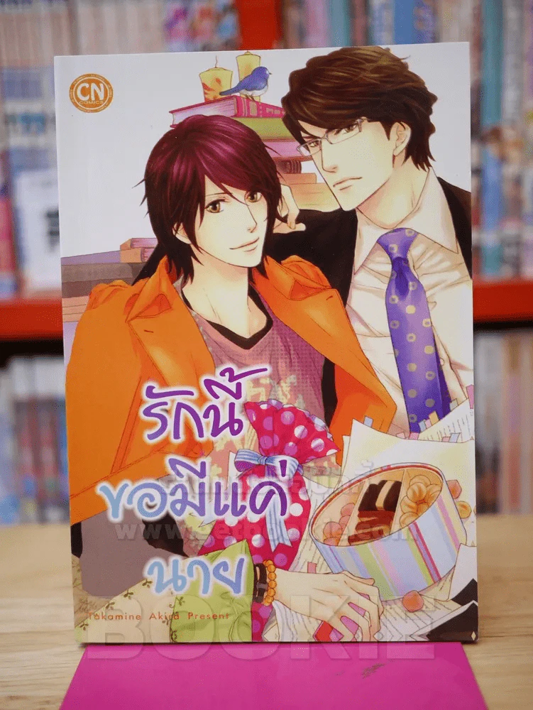 รักนี้ขอมีแค่นาย รูปที่ 1