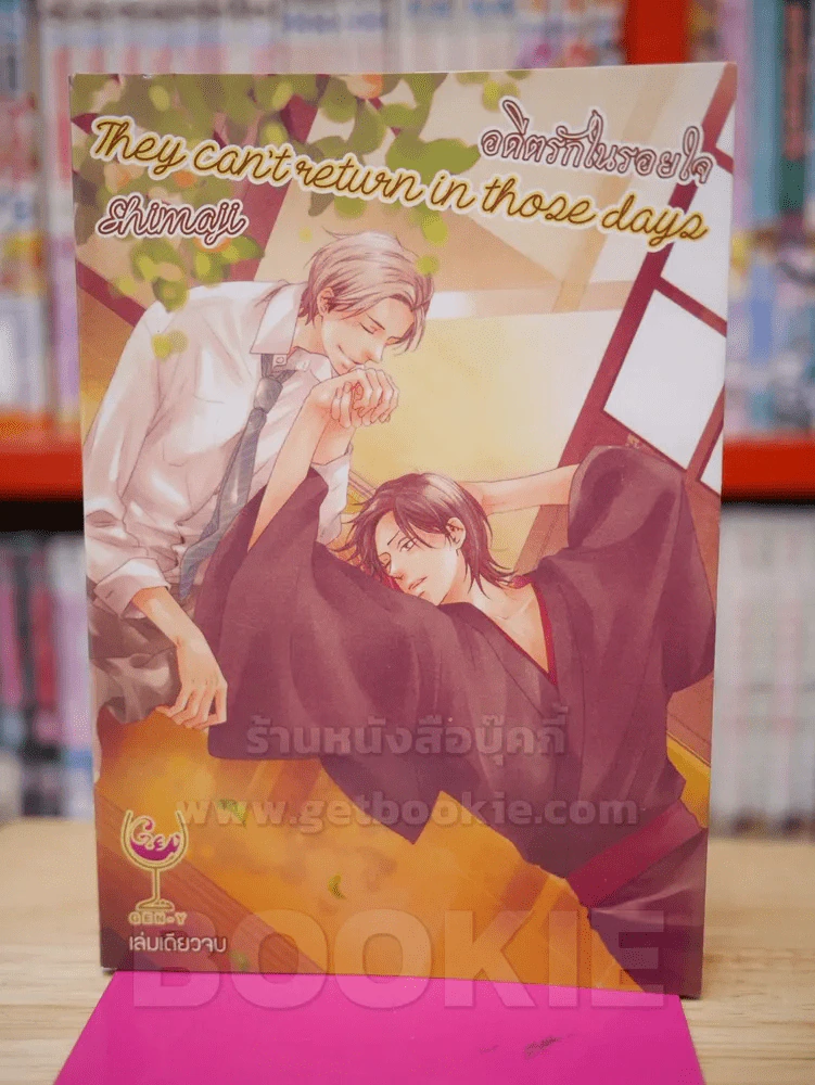 They can't return in those days อดีตรักในรอยใจ รูปที่ 1