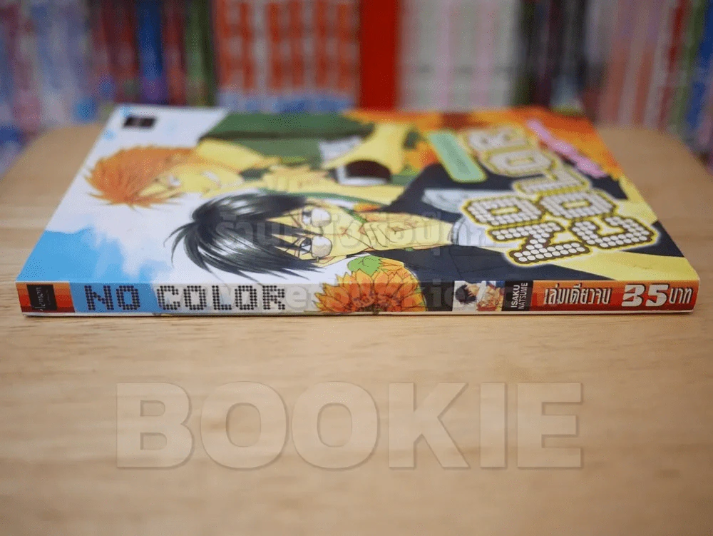 NO COLOR รูปที่ 2
