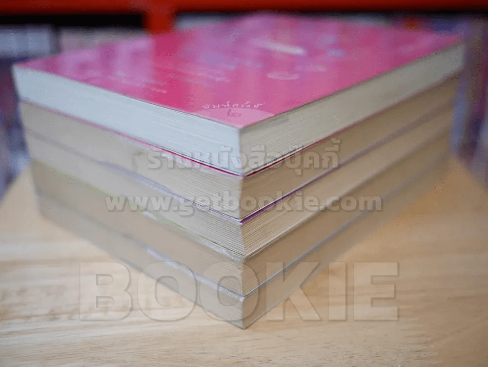 Princess บันทึกของเจ้าหญิง 5 เล่ม รูปที่ 4