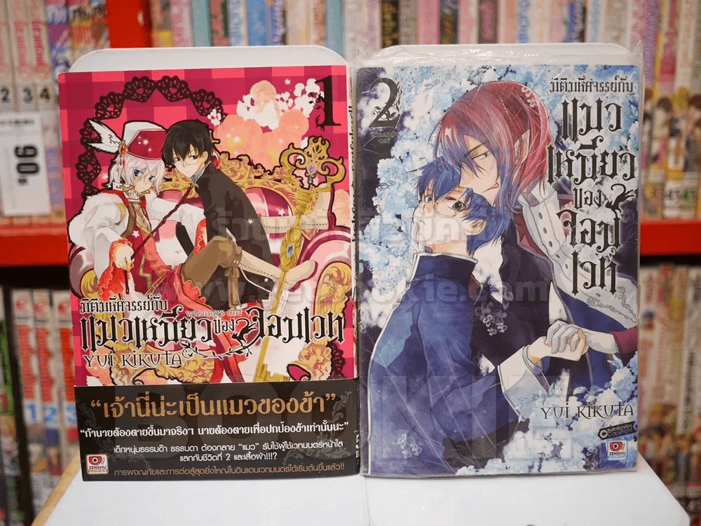 มิติมหัศจรรย์กับ แมวเหมียวของจอมเวท เล่ม 1-2 รูปที่ 1