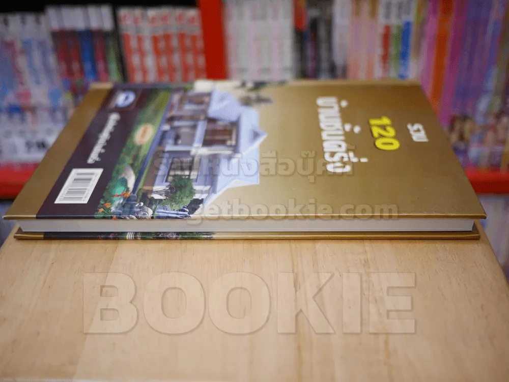 รวม 120 บ้านชั้นครึ่ง รูปที่ 3