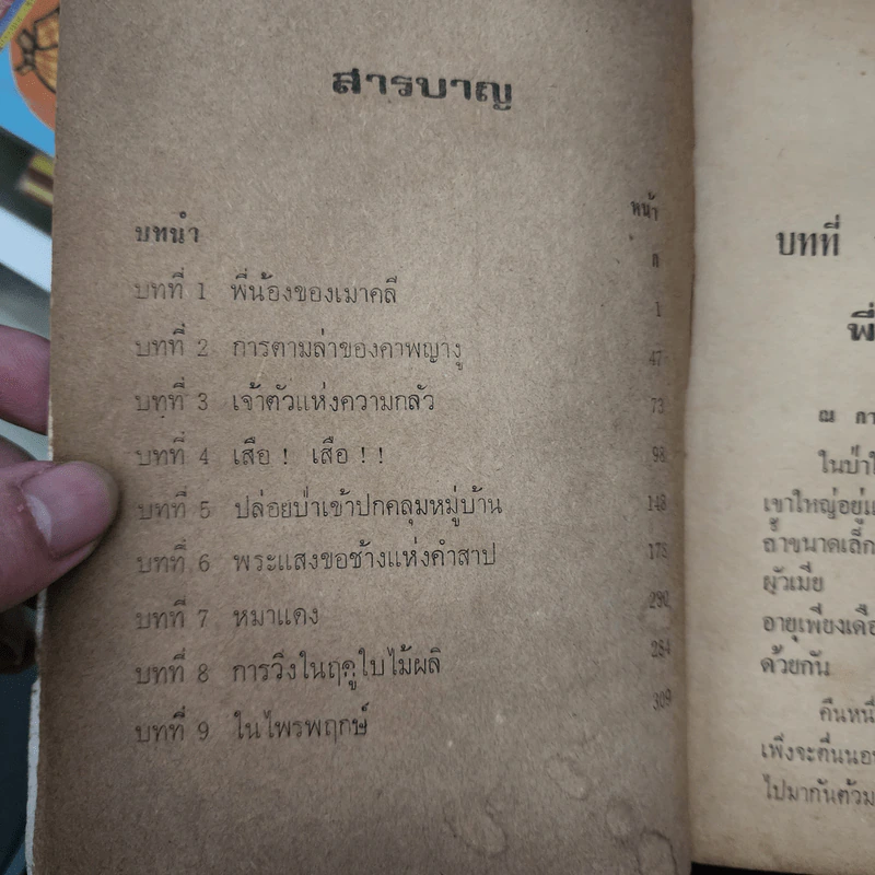 เมาคลีลูกหมาป่า - ม.ร.ว.ชนม์สวัสดิ์ ชมพูนุท รูปที่ 9